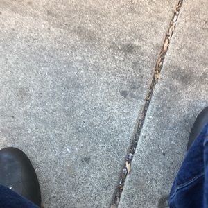 Meet your Posher, Llogan